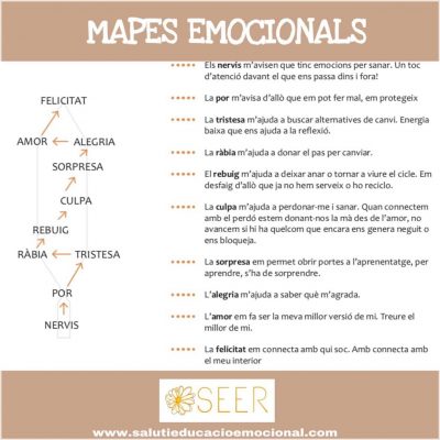 primer-seercle-estudi-mapes-emocionals